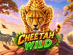 Cheetah Wild