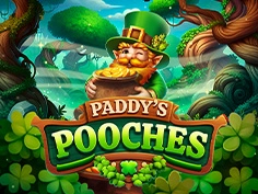 Paddys Pooches