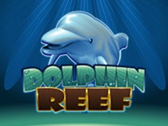 Dolphin Reef