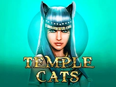 Temple Cats 