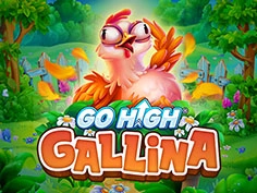 Go High Gallina