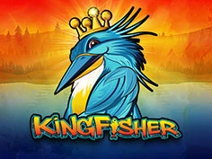 Kingfisher