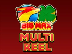 Big Max Multi Reel