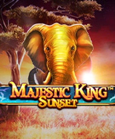 Majestic King - Sunset