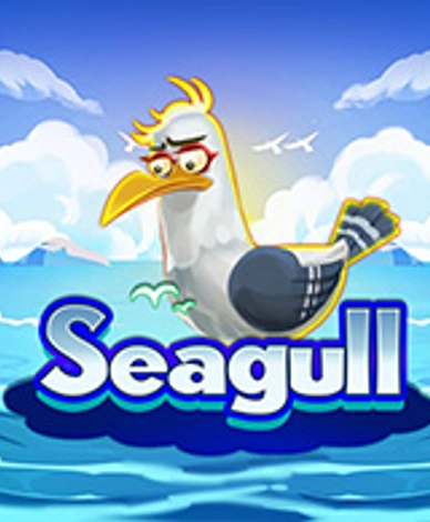 Seagull