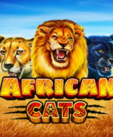 African Cats