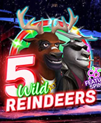 5 Wild Reindeers