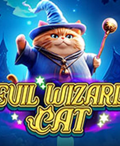 Evil Wizard Cat