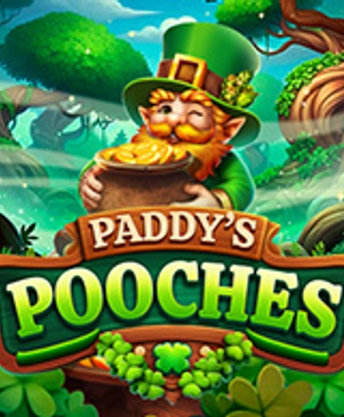 Paddys Pooches