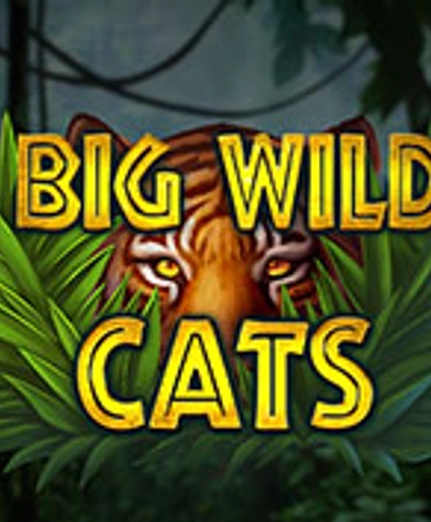 Big Wild Cats