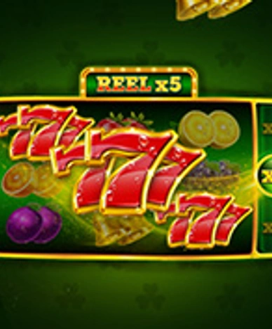 Reel x5