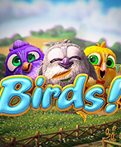 Birds 