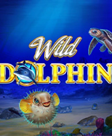 Wild Dolphin