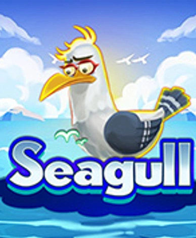Seagull