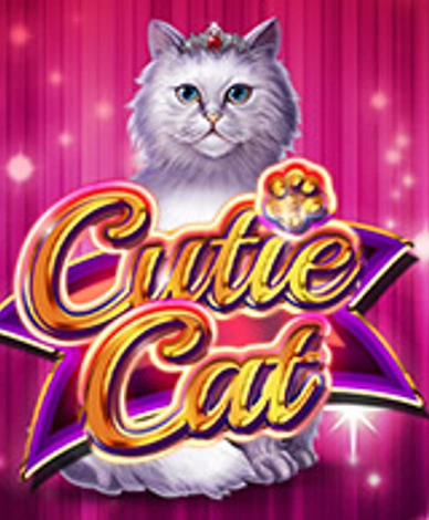 Cutie Cat