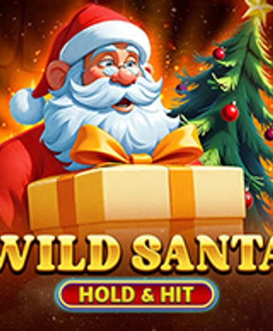 Wild Santa - Hold And Hit
