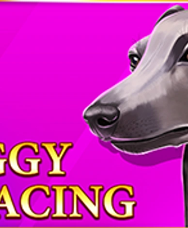 Iggy Racing