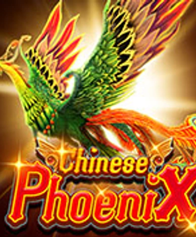 Chinese Phoenix