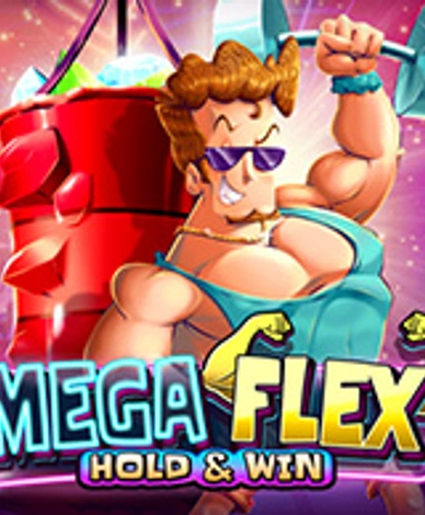 Mega Flex Hold And Win
