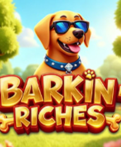 Barkin Riches