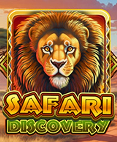Safari Discovery