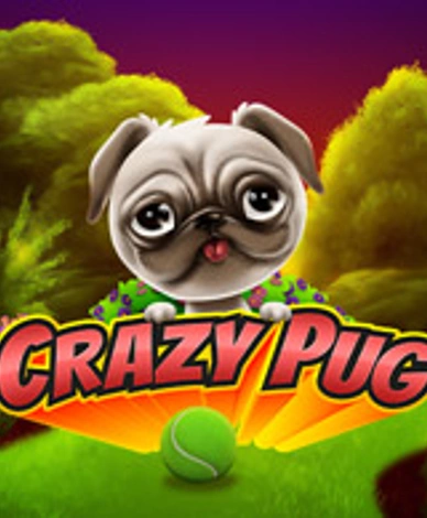 Crazy Pug
