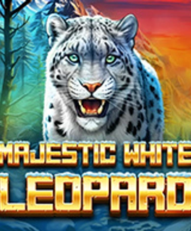 Majestic White Leopard