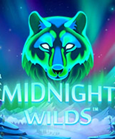 Midnight Wild