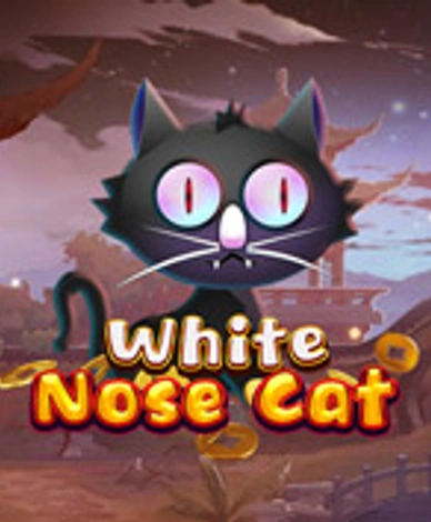 White Nose Cat