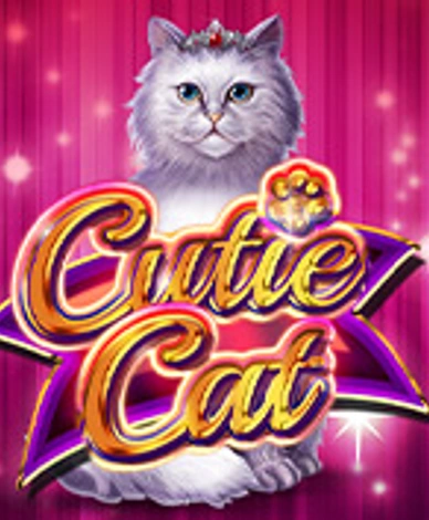 Cutie Cat