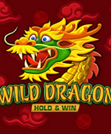 Wild Dragon Hold And Win
