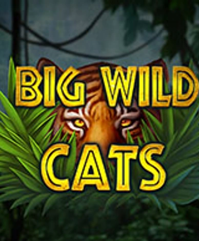 Big Wild Cats