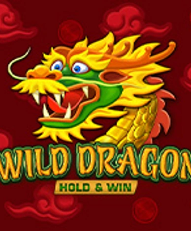 Wild Dragon Hold And Win