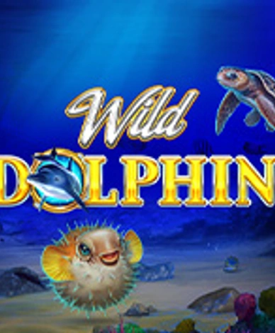 Wild Dolphin