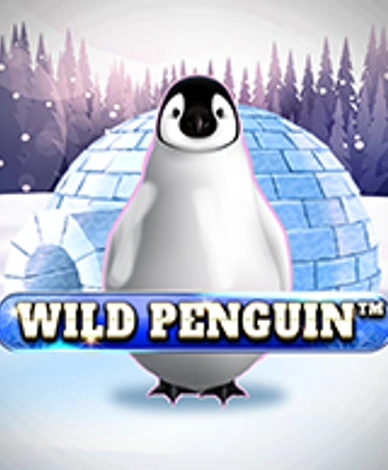 Wild Penguin