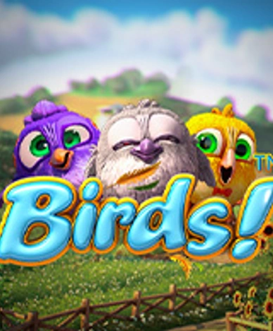 Birds 