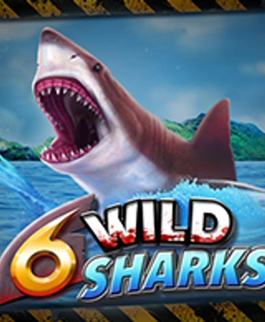 6 Wild Sharks