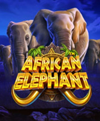 African Elephant 