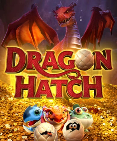 Dragon Hatch