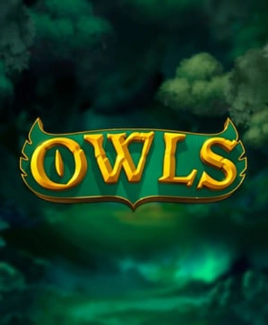 Owls
