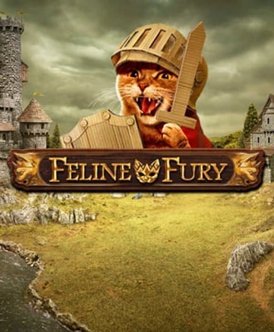 Feline Fury