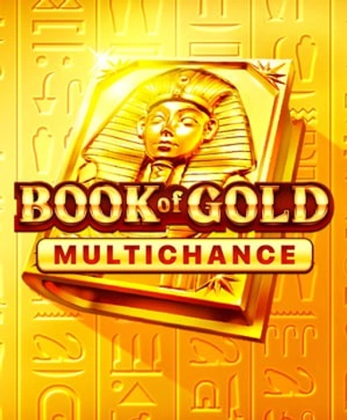 Book of Gold Multichance