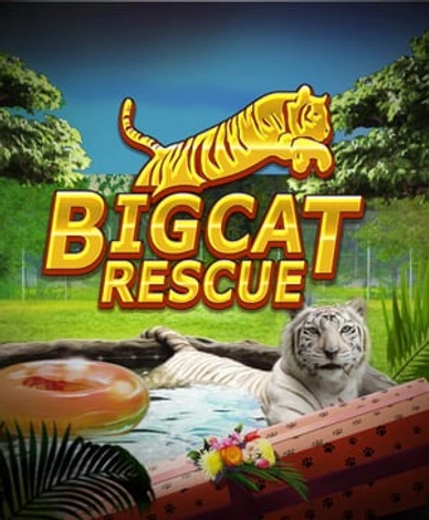 Big Cat Rescue Megaways