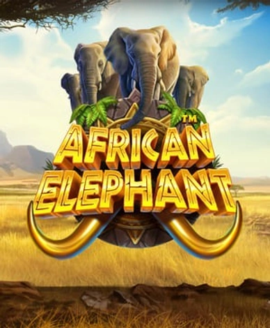 African Elephant