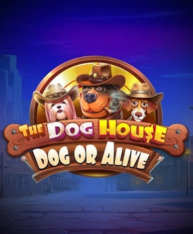 The Dog House - Dog Or Alive