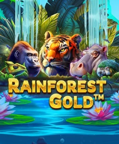 Rainforest Gold