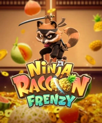 Ninja Raccoon Frenzy