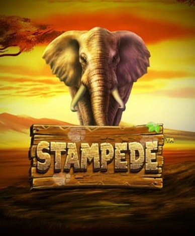 Stampede Gold 