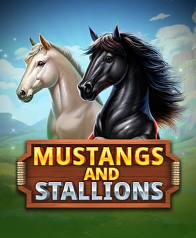 Mustang And Stallions