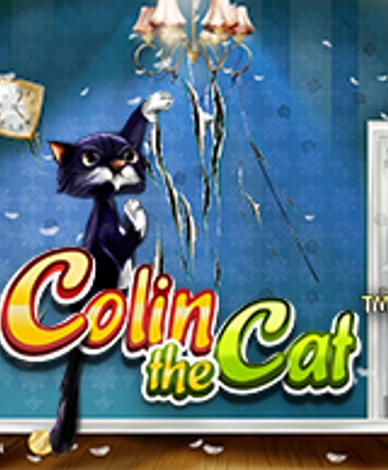 Colin The Cat